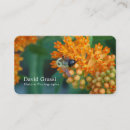 Search for bee weed Nature photography