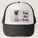 Search for drug hats Dog