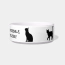 Search for cuts pet supplies Kitty