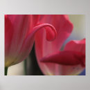 Search for tulip easter posters Red