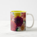 Search for gerbera daisy mugs Daisies