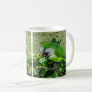 Search for green parakeet mugs Bird