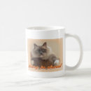 Search for hang in there cat mugs Kitty