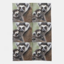 Search for lemur gifts Primate
