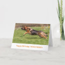 Search for german shepherd birthday cards Happy