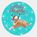Search for basenji stickers Red