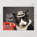 Search for funny vintage sayings postcards Cat