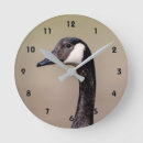 Search for goose clocks Bird