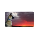 Search for herding labels Nature