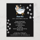 Search for dog grooming flyers Salon