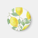 Search for lemons magnets Lemon tree