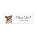 Search for pembroke Cute dog