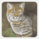 Search for bobcat stickers Feline