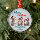 Search for cute cat christmas tree decorations Kitten