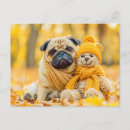 Search for plush postcards Dog