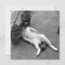 Search for lounge cards Black and white