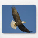 Search for bald eagle mouse mats Flying