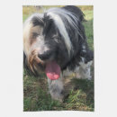 Search for tibetan terrier gifts Pets