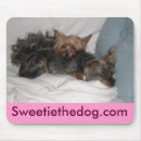 Search for best buddies mouse mats Terrier