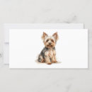 Search for toy cards Breed