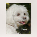 Search for maltese dog puzzles Animal