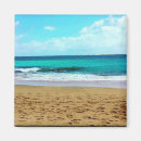 Search for ocean fun magnets Water