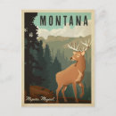 Search for montana Deer