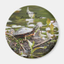 Search for pond turtle magnets Cute