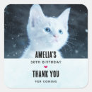Search for cute white kitten stickers Feline