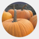 Search for fall vegetable stickers Halloween