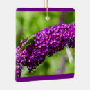 Search for cricket christmas tree decorations Katydid