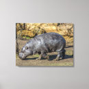 Search for zoo canvas prints Animals