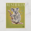 Search for australian koala postcards Animal