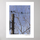 Search for manmade objects posters Nature