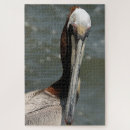 Search for pelican puzzles Feathers