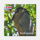 Search for billed magnets Wildlife