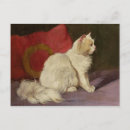 Search for cushion postcards Dogs