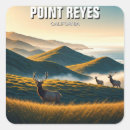 Search for points stickers Ocean