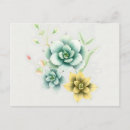 Search for echeveria postcards Botanical
