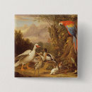 Search for parrot bird badges Birds