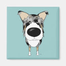 Search for smooth magnets Dog