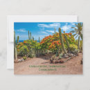 Search for fuerteventura postcards Canary islands
