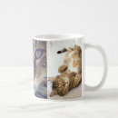 Search for tabbycat Cute