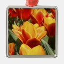 Search for tranquil christmas tree decorations Europe