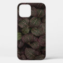 Search for maroon background iphone cases Pattern