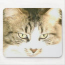 Search for pet rescue mouse mats Kitty