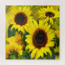 Search for sunflower puzzles Cheerful