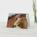 Search for mares cards Pony