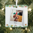 Search for pet photo christmas tree decorations Xmas