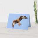 Search for red kite cards Bird